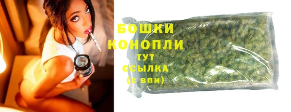 метадон Лагань