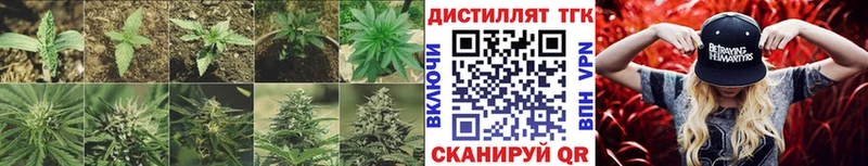 ТГК гашишное масло  где можно купить   Лысково 